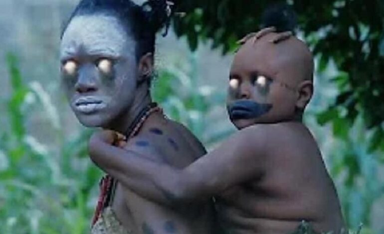 Top des 6 films africains à ne jamais regarder avant de dormir