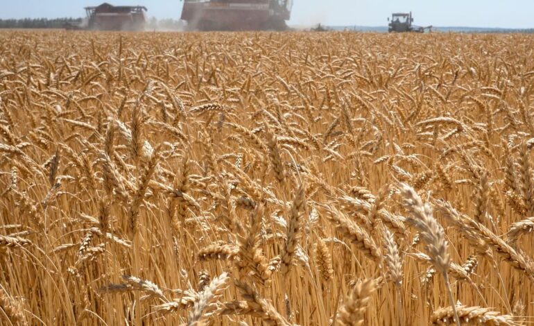 Russie : un premier navire chargé de blé à destination de l’Afrique