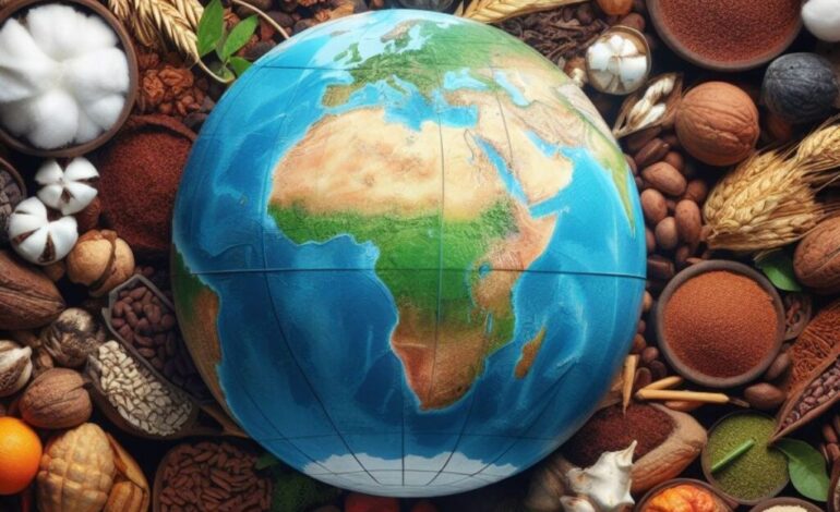 Voici les pays africains les moins endettés selon la BAD